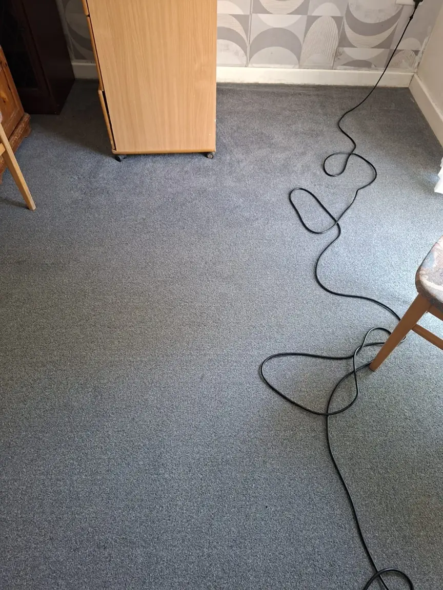 Grey carpet beside a wooden wardrobe with the cleaning-machine cable across the floor