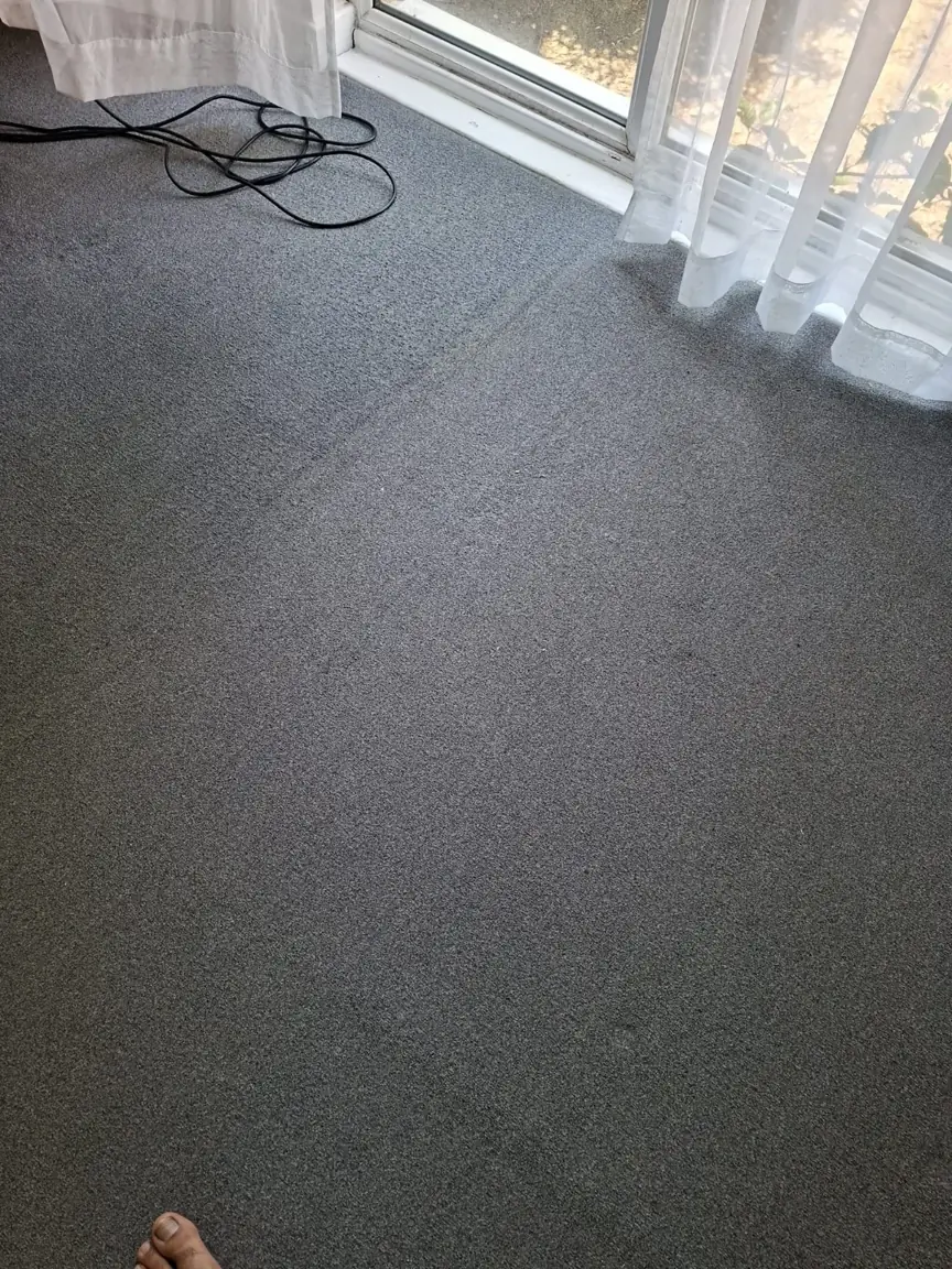 Grey carpet by glazed doors with sheer curtains and a coiled equipment cable
