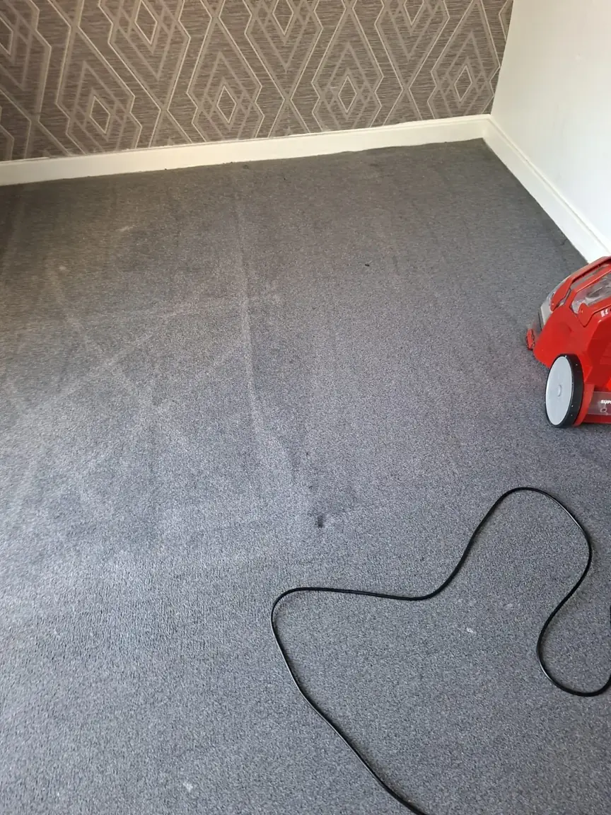 Grey carpet with overlapping cleaning passes below geometric-patterned wallpaper