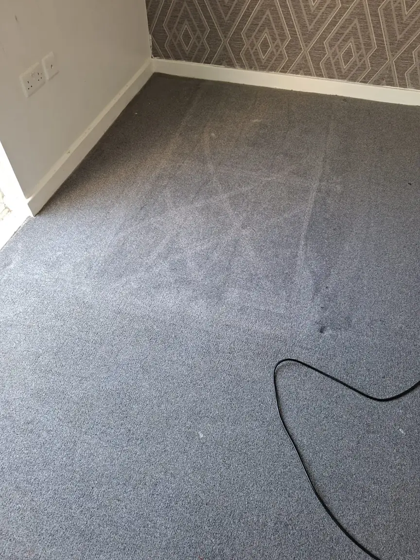 Grey carpet with cleaning lines beside a patterned wall in Hempsted, Peterborough