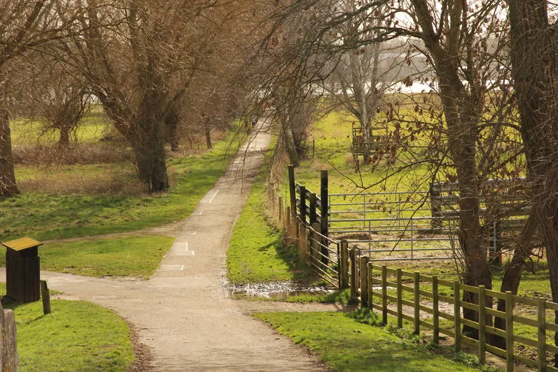 Footpath at Ferry Meadows in Nene Park near Orton Waterville, Peterborough