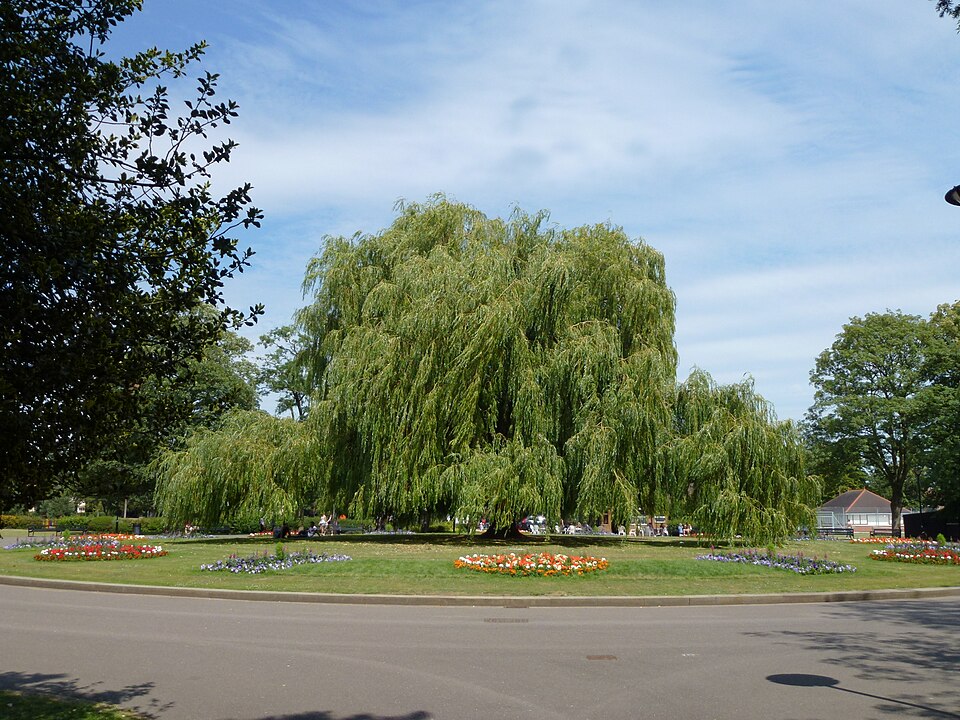 The centre of Central Park in Peterborough on a bright day