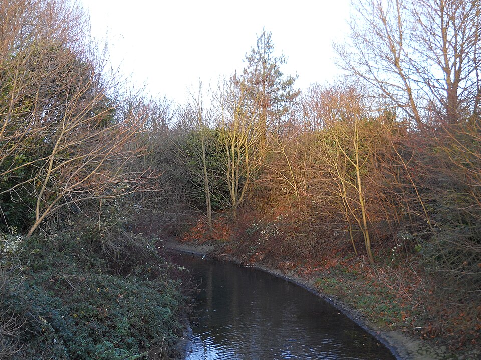 The lake and footpaths at Cuckoo's Hollow nature area in Werrington, Peterborough